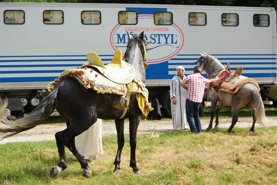 Le Moussem des Cultures 2008 122.jpg